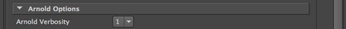 ../_images/maya_renderer_specific_options_arnold.png