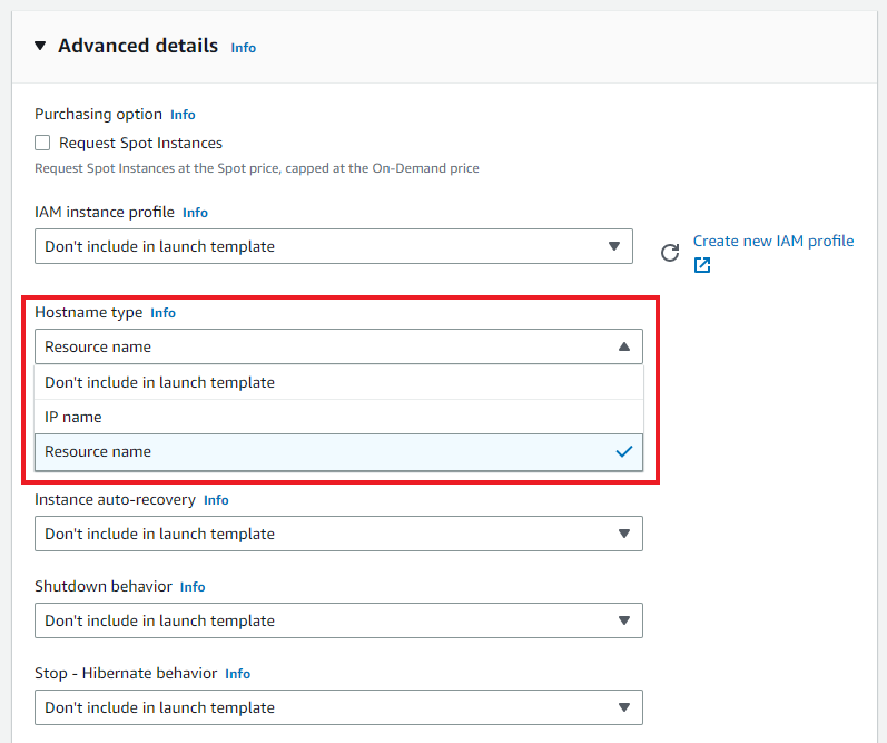 ../_images/spot_launch_template_hostname_setting.png