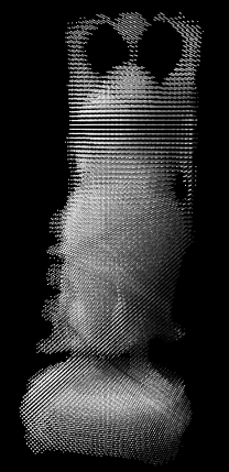 ../../_images/KMY_ParticlesVsVoxels_PRTV2SD0_Part.png
