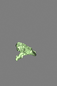 ../../../_images/krakatoa_skinwrap_particlegrowth_prtmesher_0000.png