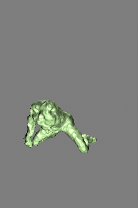 ../../../_images/krakatoa_skinwrap_particlegrowth_prtmesher_0030.png