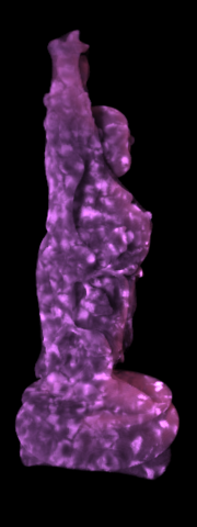 ../../../_images/krakatoa15_vr_eccenticitychannel_mapped_0066.png