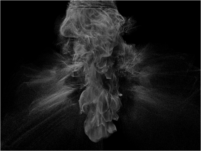 ../../_images/stokemx_pflow_fumefxfollow_comparison.png